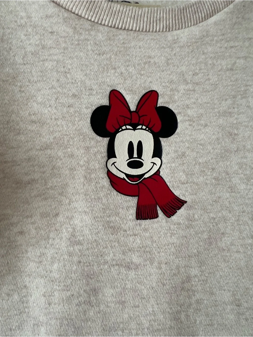 GAP Cream Sweatshirt Dress with Red Minnie and Floral Skirt
